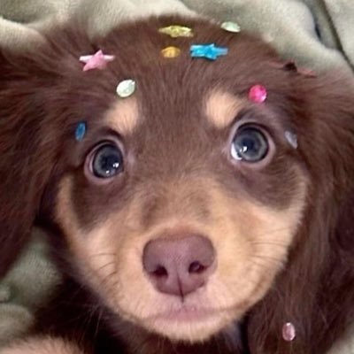 aintyobumbum's profile picture