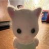 Remi's profile picture