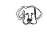 canis's profile picture