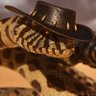 MoroNada's profile picture