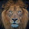 Arinaitwe McRoberts 3's profile picture