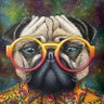 Фото профиля cryptojoe☯️