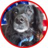 WineNFish's profile picture