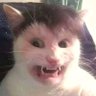 Profilbild von mzant