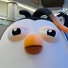 I'm Okay 🐧💐 的头像
