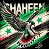 Shaheen alhor 的头像