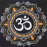 Sanatan Voice 的头像