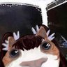 Profilbild von MSN-Moa 0100🦊