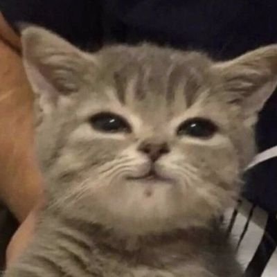 nana's profile picture