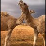 الحمدلله وسبحان الله واستغفرالله profil fotoğrafı