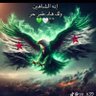 شاهين الحر 的头像