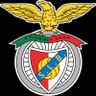 Benfiquistadonorte's profile picture