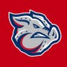 Lehigh Valley IronPigs's profile picture