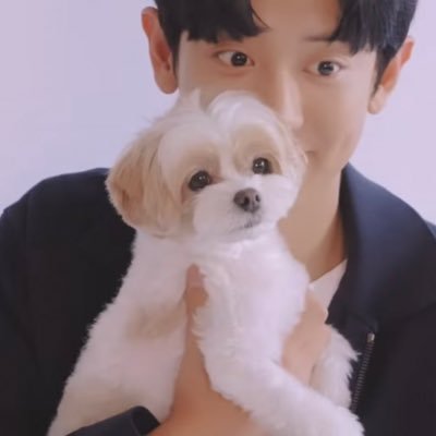 _AeyCYeol's profile picture