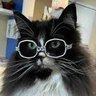 Jacob's profile picture