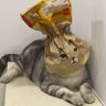 李亦's profile picture