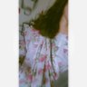 Shreya Dwivedi profil fotoğrafı