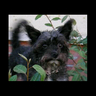 Z_Energy's profile picture