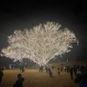 teluguodu 的头像