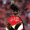 Gomaa profil fotoğrafı