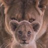 Фото профиля Leonard the Lion