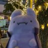 Profilbild von アメリィ(猫)