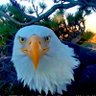Steven Kerr profil fotoğrafı