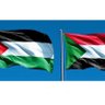 Profilbild von Waeel 🇵🇸🇸🇩