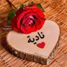 نادية 🇩🇿رهف's profile picture