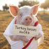 Фото профиля Worship The Pig