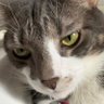Profilbild von sock!!