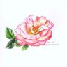 Profilbild von kerrin winona art