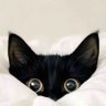 Le petit chat noir 的头像