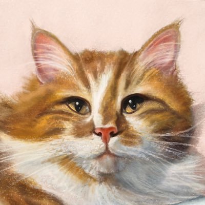 Eva Boy's profile picture
