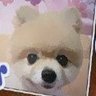 まり's profile picture