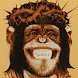 Christ Chimp THCA Criterion's profile picture