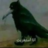 Фото профиля ريّان 🇸🇦