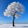 Фото профиля Natureisrestless