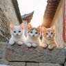 Bay_katipci profil fotoğrafı