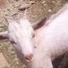 Caleb ck's profile picture