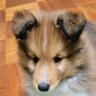 よしおと俺の物語's profile picture