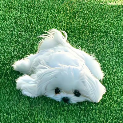 Coco_BBH_xxx's profile picture