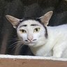 Profilbild von Juanchito