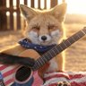 Zero Fox Given profil fotoğrafı