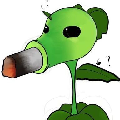 debora culos's profile picture