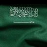 mohammed alshaya's profile picture