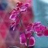 Фото профиля كوثر