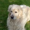Profilbild von ovecka