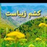 Фото профиля تاجکیارTajikyar