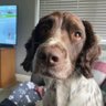 Simon Humphrey's profile picture